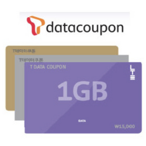 SKT 데이터 데이타 data 1GB 1기가당 1,900원 (총 2기가 2GB, 총 3,800원)