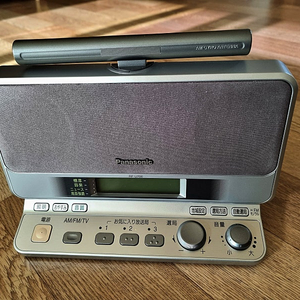 Panasonic RF-U700