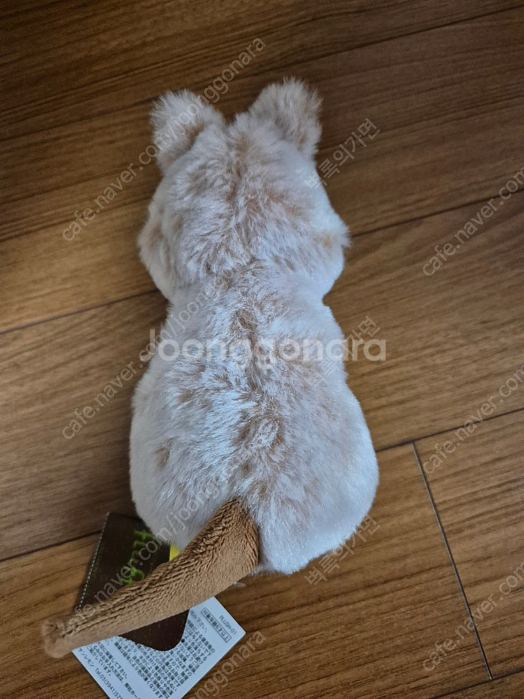 (가격내림) 썬레몬/선레몬 쿼카 인형 팝니다!--1