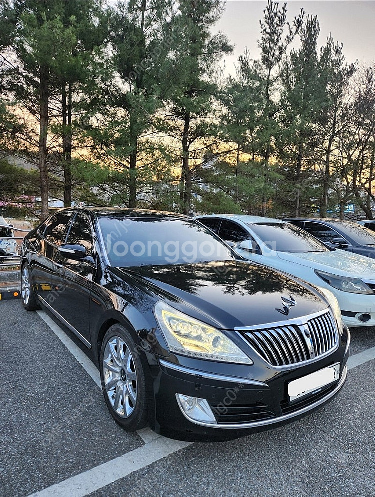 신형 에쿠스 VS 380 (프레스티지) 판매 (※대차 ...--1