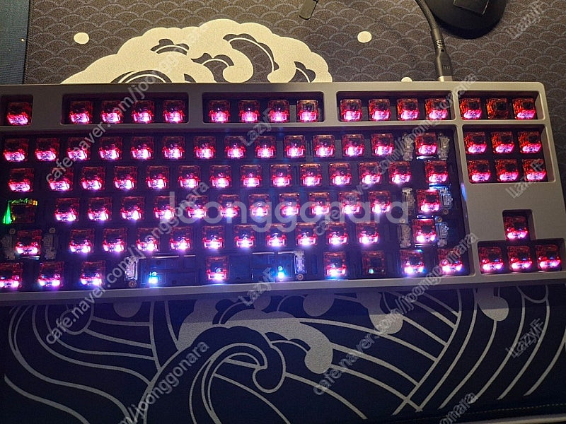 Frog Tkl + 제네시스 8k--4