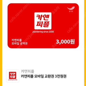 카앤피플 3000원 금액권 천원 (즉시발송)