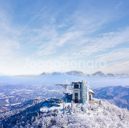 (오늘까지) 용평 리프트+렌탈 대인/소인(~12/20)--0