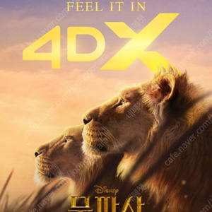 CGV 아이맥스 IMAX 포디엑스 4DX 스크린엑스 SCREENX 스위트박스 SWEETBOX 커플석 롯데시네마 메가박스 돌비 / 무파사 라이온킹 라이언킹 모아나 위키드 소방관 짱구