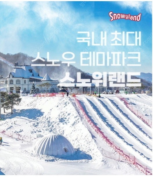 스노위랜드*홍천비발디파크~리프트권-장비렌탈~용평~휘닉스...--0
