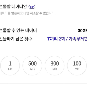 sk데이터2GB 3000원