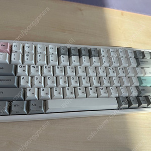 COX 유무선 무접점 미니키보드 CNK84W PBT 팝니다.