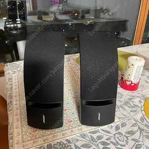 BOSE 161 패시브 스피커