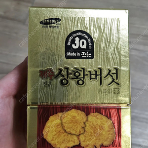 제주 상황버섯가루 200g