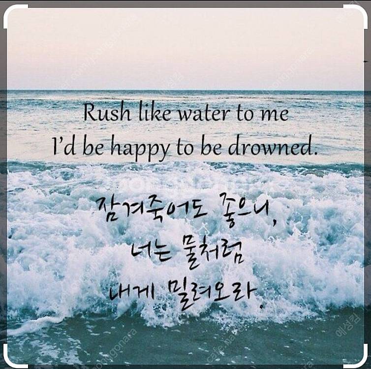 엘지그램프로/360 16인치 구매합니다--0