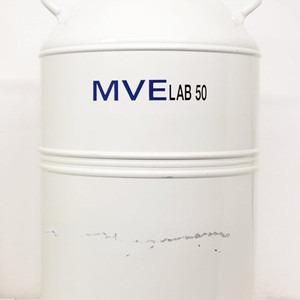 MVE LAB 50 액체 질소통 50L