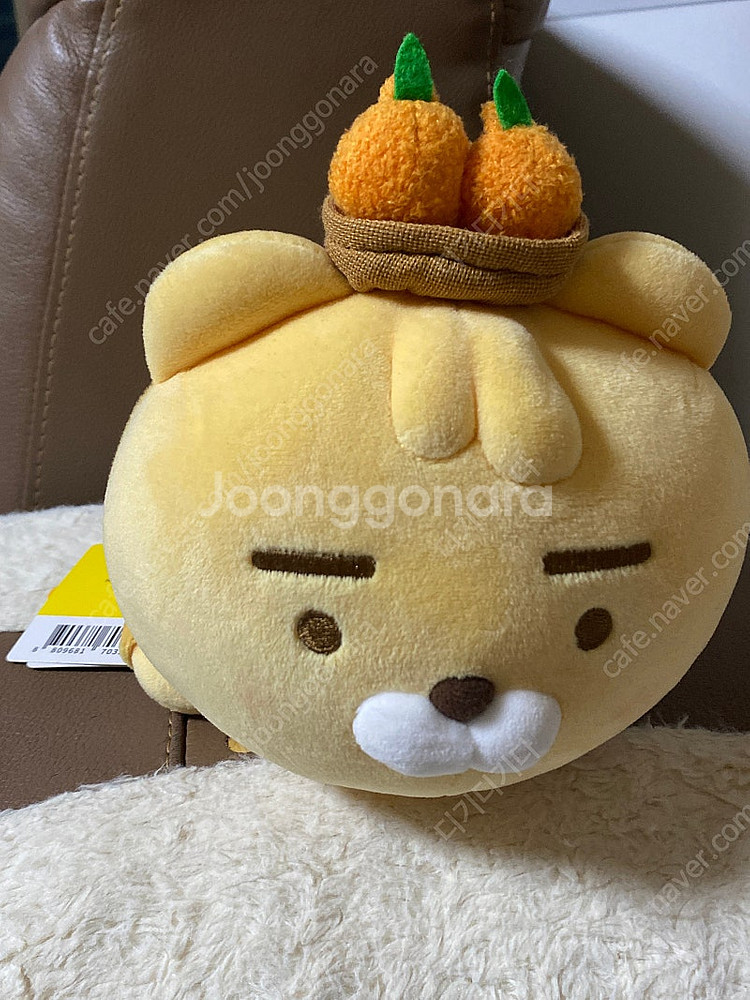 제주 라이언 인형--0