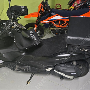 2024년 3월 PCX 125cc