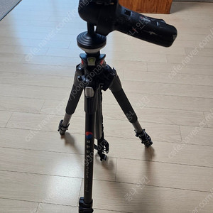 Manfrotto 삼각대 판매합니다 [190xprob-KOR] 대한민국 에디션