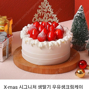 파리바게뜨 X-mas 시그니처 생딸기 우유생크림케이 크(케이크 데코픽 포함)