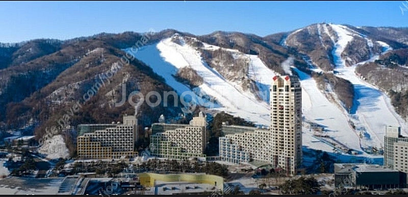 12월24일-26일 2박3일 휘닉스파크 로얄객실 양도합...--0