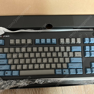 리얼포스 r3 30g tkl