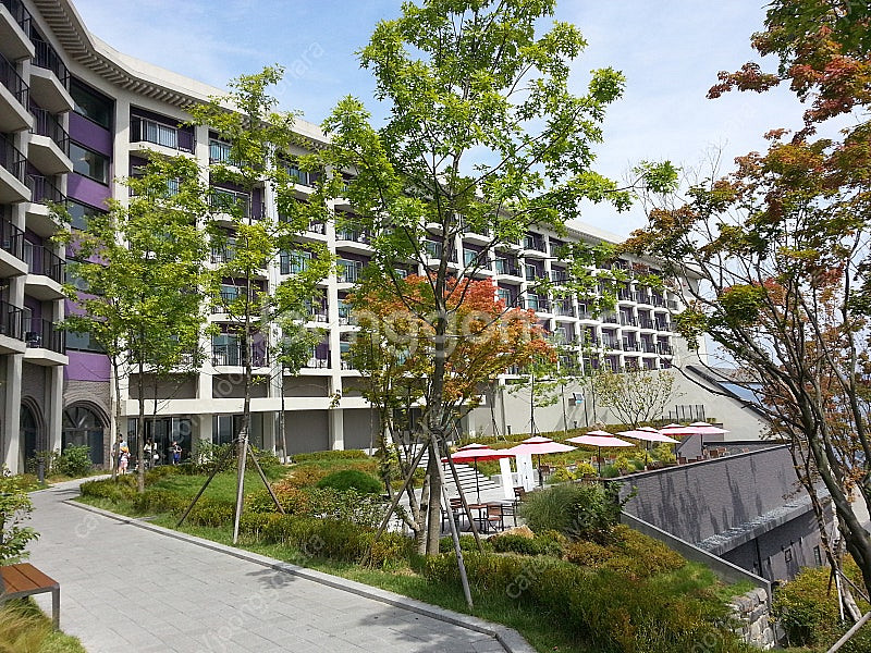 (12, 1월) 한화리조트 설악/거제/용인/해운대/경주...--0