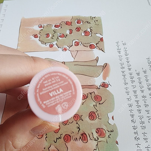 Glossier. 립스틱 글로씨에르