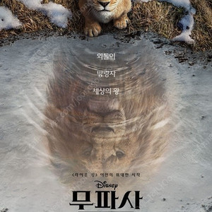 CGV 무파사라이온킹 8천/짱구는못말려 소방관 서브스턴스 모아나 위키드 주술회전 히든페이스등 팝콘 콤보 특별관 롯데시네마 메가박스 영화예매^^