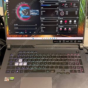 게이밍노트북 ASUS ROG STRIX G713RM-LL121