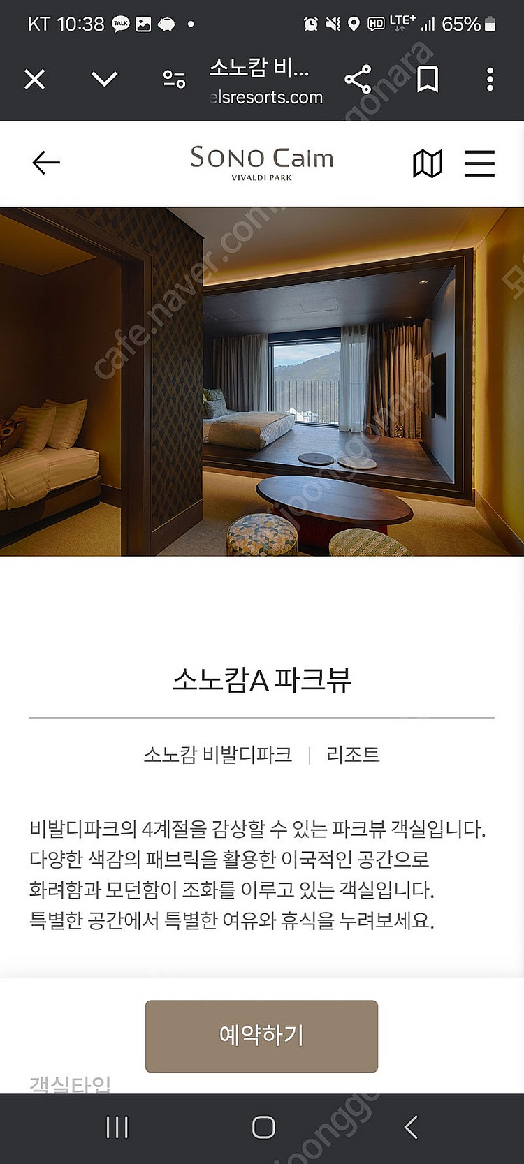 비발디파크소노캄파크뷰 2박 최대 12월 28일,29일 ...--0
