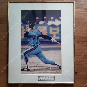 82 84 미스터 올스타 김용희 액자 롯데자이언츠 1982년 1984년 2회 KBO 프로야구 미스터 올스타 선정 김용희 사진 전시액자(당시 사진으로 박물관급)