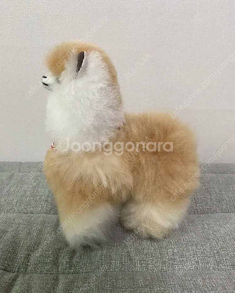 페루 알파카 인형 인테리어 오브제--1