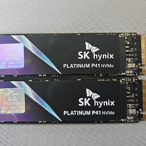 SK하이닉스 Platinum P41 M.2 NVMe 500GB 2개