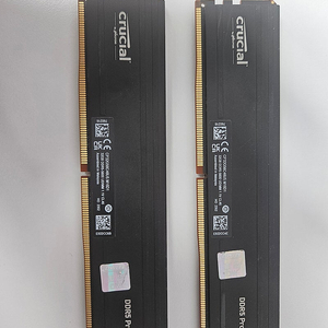 마이크론 Crucial DDR5-5600 CL46 PRO 패키지 대원씨티에스 (64GB(32Gx2))