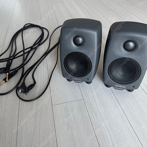 genelec 제네렉 8010a 1조