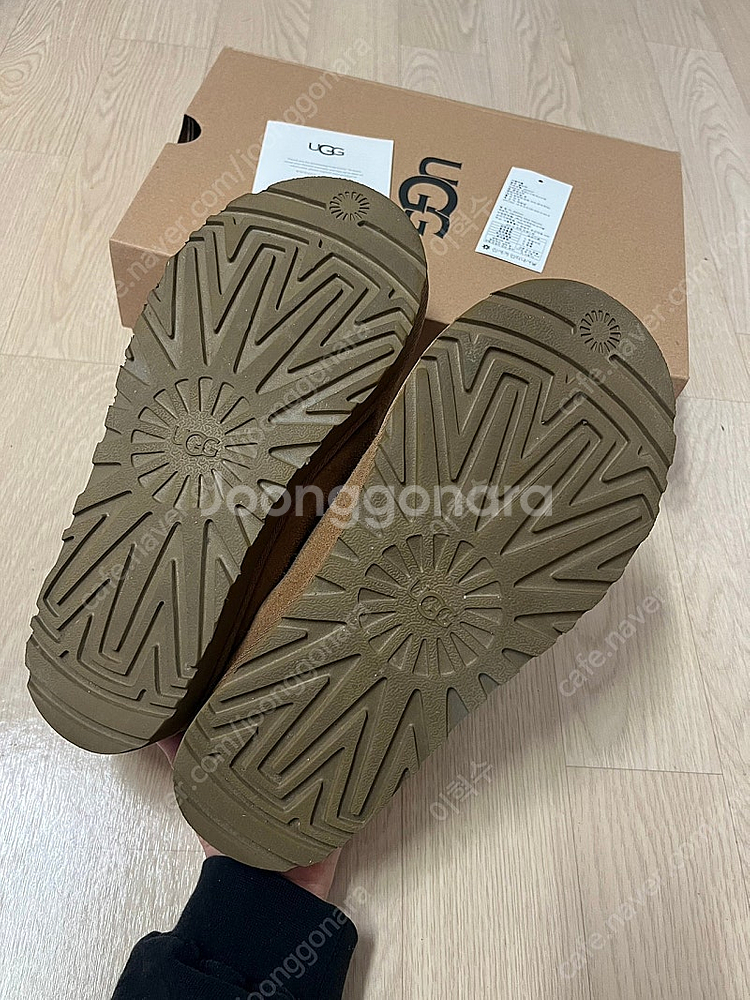 어그 타스만 250--2