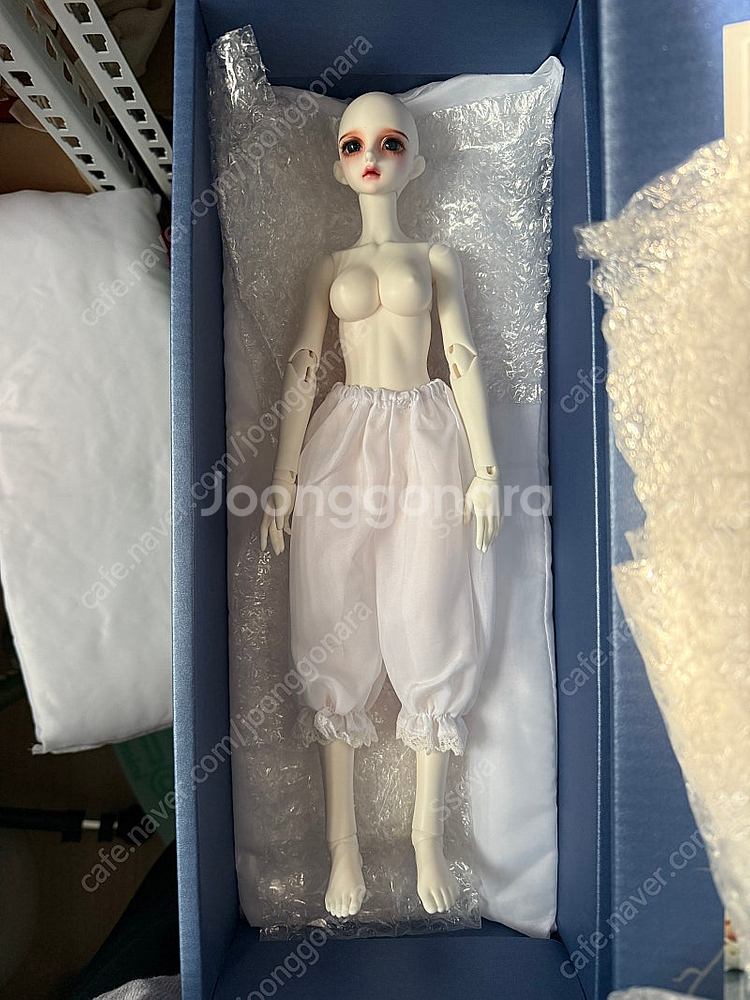 구체관절인형 루츠돌 모델델프 남 테라, 여 애니--3