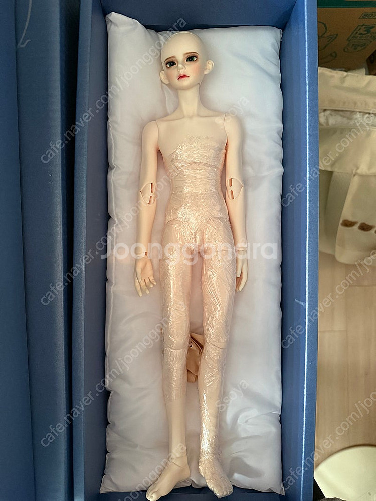 구체관절인형 루츠돌 모델델프 남 테라, 여 애니--5
