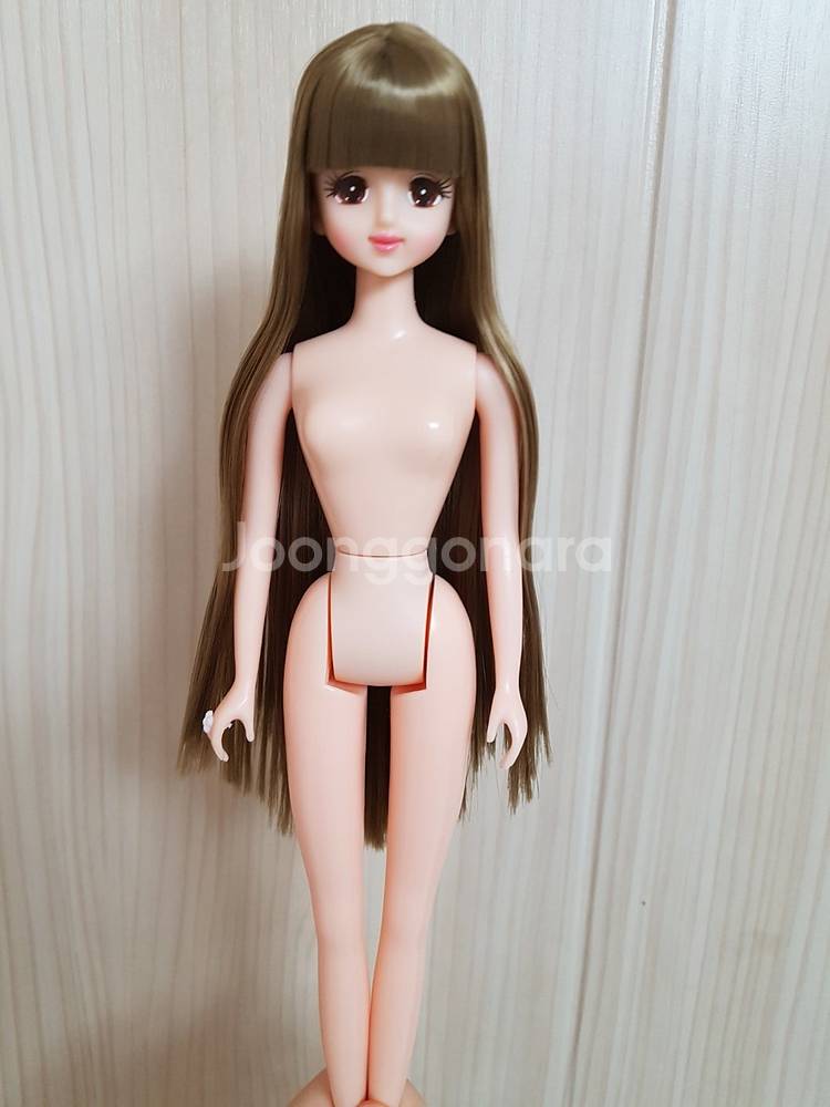리카캐슬 컨트리제니 초대제니 컨트리초대제니 다카라 제니...--2