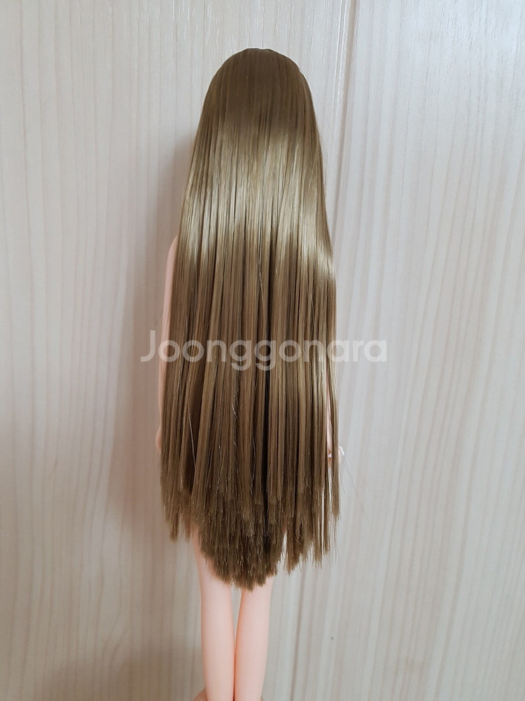 리카캐슬 컨트리제니 초대제니 컨트리초대제니 다카라 제니...--3