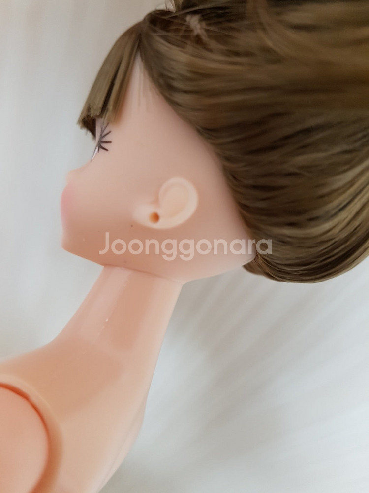리카캐슬 컨트리제니 초대제니 컨트리초대제니 다카라 제니...--5