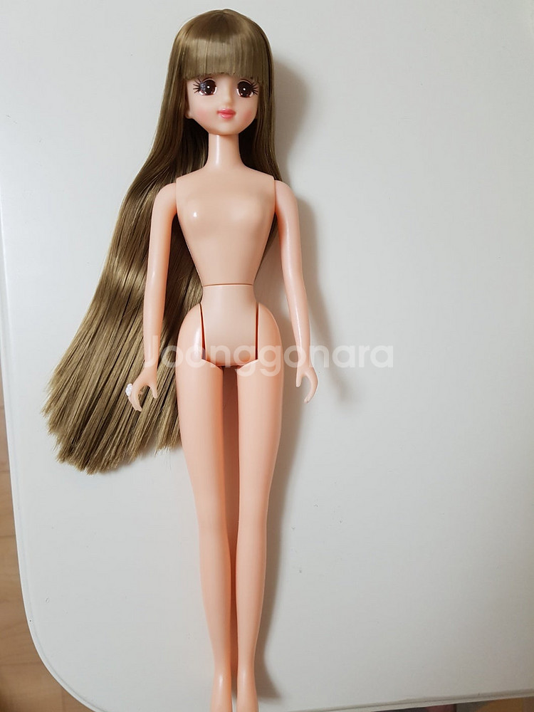 리카캐슬 컨트리제니 초대제니 컨트리초대제니 다카라 제니...--6