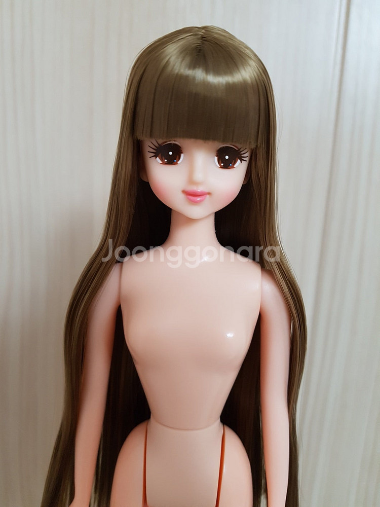 리카캐슬 컨트리제니 초대제니 컨트리초대제니 다카라 제니...--8