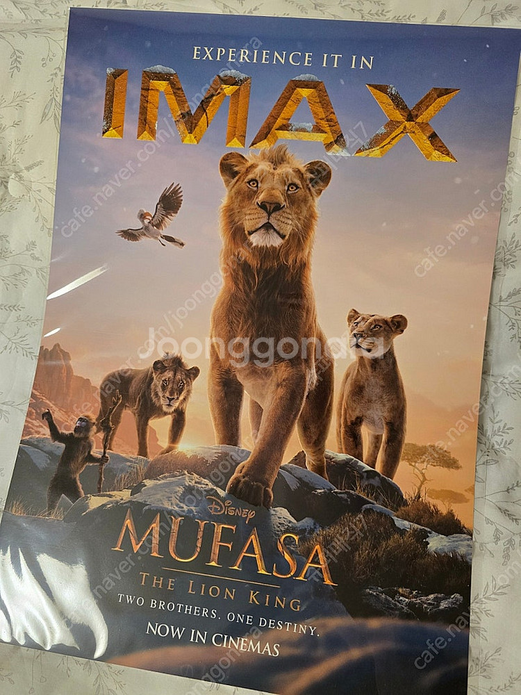 라이언킹 무파사 IMAX 포스터 (아이맥스)--0