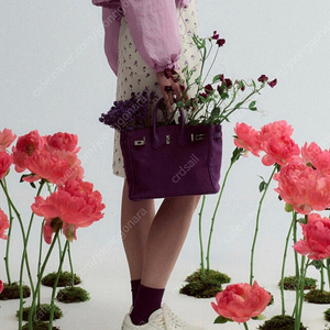 The reum 더름 Jane bag purple 제인백 퍼플 (limited)