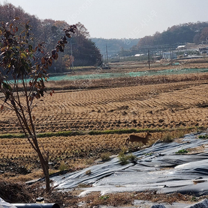 포터2,봉고3 견인장치 삽니다