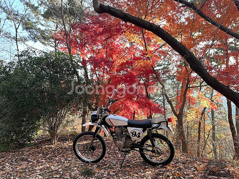 [부산] 혼다 ftr223 커스텀--0