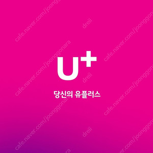 유플러스 데이터