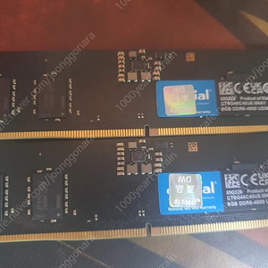 마이크론 DDR5 8GB×2