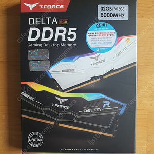 TeamGroup T-Force DDR5-8000 CL38 (16g x 2) 화이트