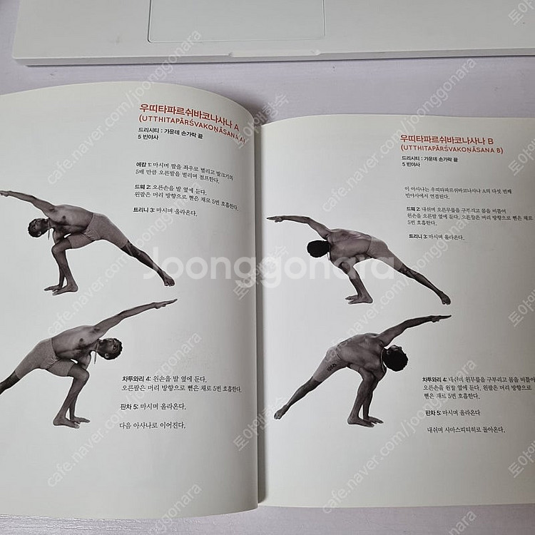 샤럇조이스 '아쉬탕가 요가의 정석'(절판), 요가책 서...--2