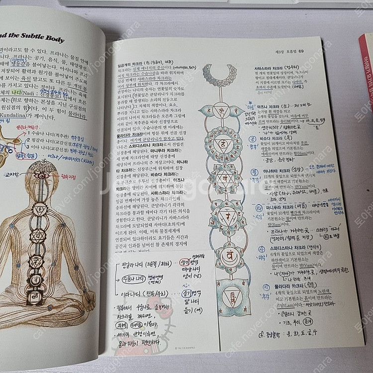 샤럇조이스 '아쉬탕가 요가의 정석'(절판), 요가책 서...--6