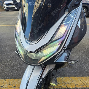 pcx125 23년식 판매합니다