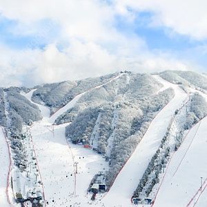 (연말.연초) 소노호텔앤리조트_비발디파크/ 델피노 소노문.벨.캄.펠리체